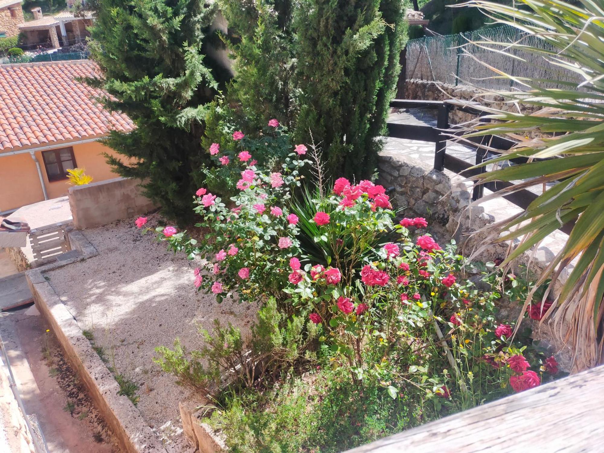 Ventorrillo Cabana 1 Riópar Dış mekan fotoğraf
